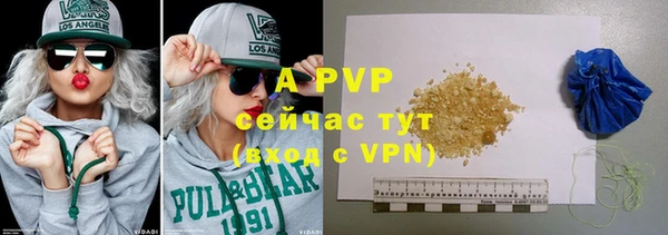 крисы Верея