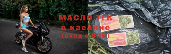 крисы Верея