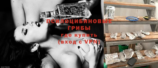 крисы Верея