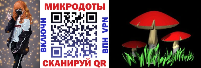 наркошоп Новосокольники Псилоцибиновые грибы GOLDEN TEACHER